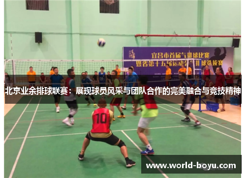 北京业余排球联赛：展现球员风采与团队合作的完美融合与竞技精神