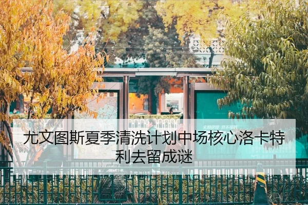 you-wen-tu-si-xia-ji-qing-xi-ji-hua-zhong-chang-he-xin-luo-ka-te-li-qu-liu-cheng-mi-2-812.jpg